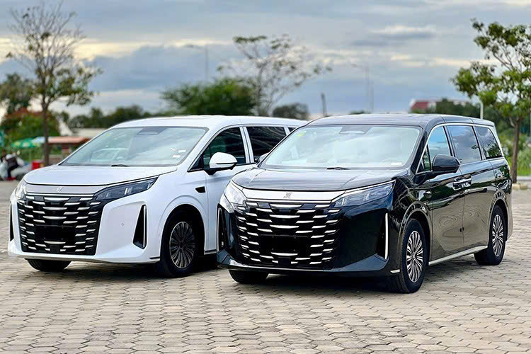 SUV 7 Chỗ Cao Cấp - ảnh 3